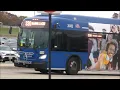 Three Pace Buses In One - ROUTES 332 330 And 230