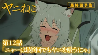 YouTube影片, 內容是尼古喵喵 的 第 12 話預告