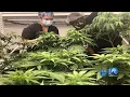 Things are growing -