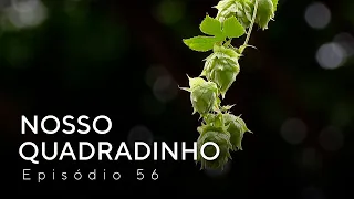 NOSSO QUADRADINHO | Episodio 56