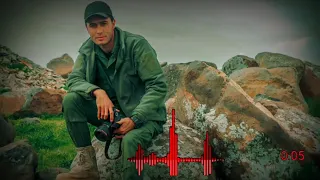 زوكار دندنها