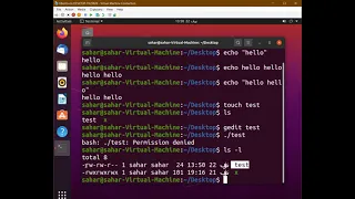 1 - Echo--Bash Scripting