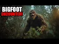 6 Chilling Bigfoot Encounters Hidden in America’s Darkest Forests
