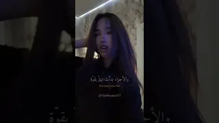 الأغنية الشهيرة Scooby Doo Pa Pa مترجمة Follow اكسبلور Song ترند Trendingshorts Trending 