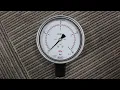 WIKA 232 50 100 NPT and 232 50 100 pressure gauge