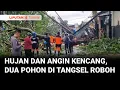 Download Lagu Hujan dan Angin Kencang, Dua Pohon Besar Roboh Timpa Warung di Tangsel, Satu Orang Terluka