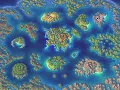 【ゲームBGM】夢の岸辺に(Dream of the Shore Bordering Another World):クロノクロス