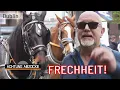 Download Lagu Kutschfahrt zur absoluten FRECHHEIT! 🐎 Durch Dublin mit teurem GESPANN! | Achtung Abzocke