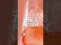 Download Lagu Alkoholfreien Spritz genießen mit Laori Ruby No 4. 🍊