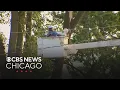 Weary NW Indiana residents still days away from restored power Full Newscasts