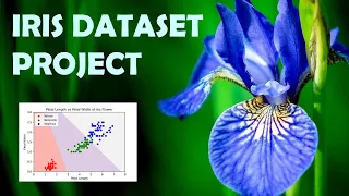 Iris Dataset Project Fast Forward Version Machine Learning using Python