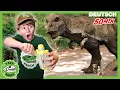 Lagu Dinosaurier schachtel flucht Herausforderung! | T-Rex Ranch - Dinosaurier für Kinder