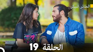 مسلسل الطائر المبكر الحلقة 19 دوبلاج عربي 