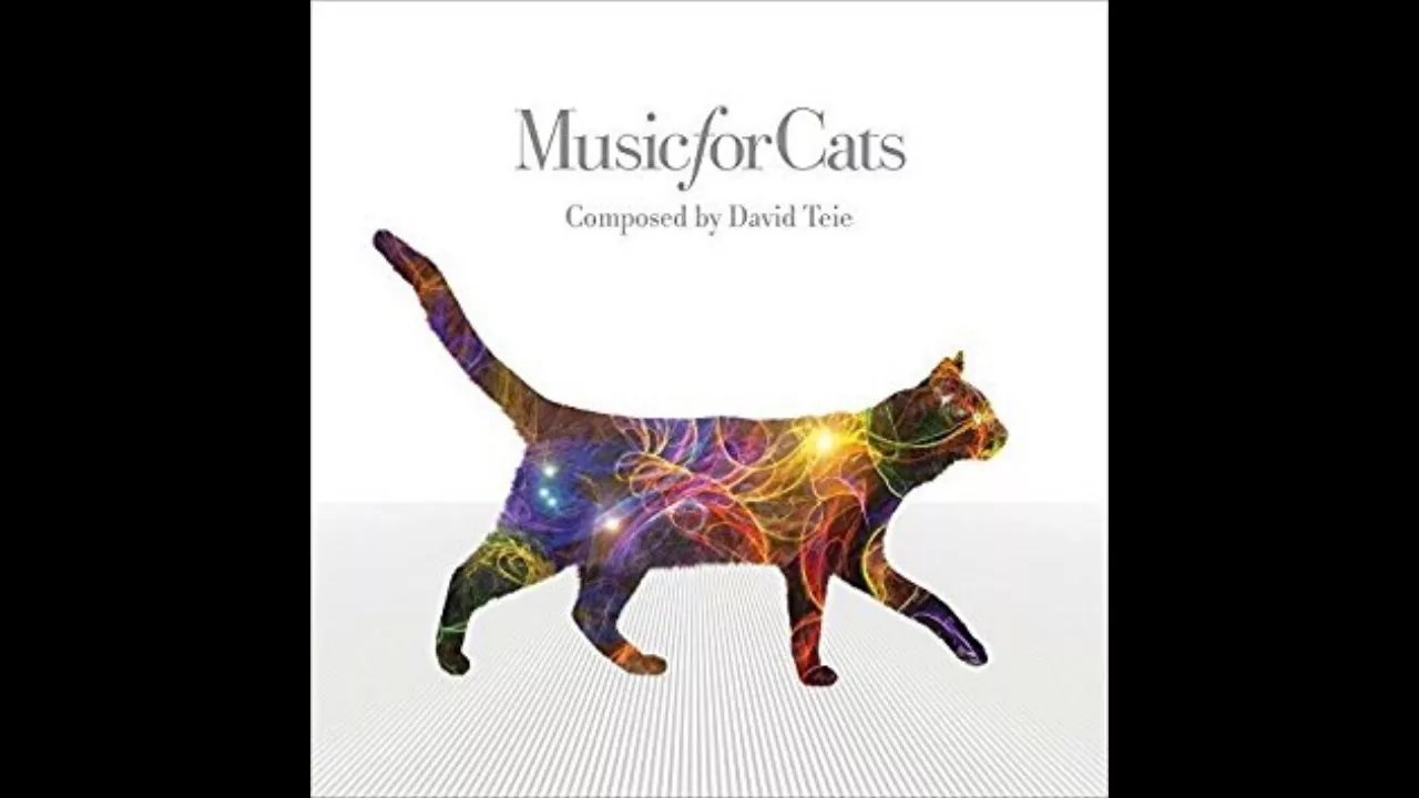 猫が好きな音楽。猫ちゃんのためのBGM