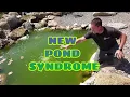 NEW POND SYNDROME - Algae Bloom Solutions Say NO to green pond water