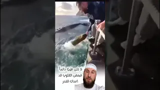 لا تمد  يدك دائم ا بدافع الطيبة  فبعضهم لا يرى فيها عطاء   بل فرصة  ليأخذ أكثر  ثم يرحل  دندنها