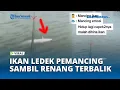 VIRAL Niat Hendak Memancing, Pria ini Justru Diledek Ikan yang Berenang  dengan Gaya Terlentang