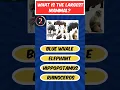Download Lagu Only 1% of people in the world can answer all 5 pt2  #viral #shorts