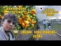 Lagu CUMAN DI AJAK KELILING DESA DI JEPANG SAJA SAMA ISTRI ! DUH SENENGNYA !