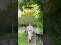 Download Lagu Ce se intampla daca nu actionezi la momentul oportun. Importanta alegerii momentului potrivit
