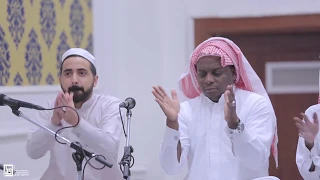 طرب ينبعاوي هلت ليالي حلوة وهنية 