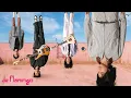 De Flamingo - รักเธอหัวทิ่มบ่อ (Cover) 「Original by HANGMAN」