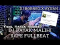 Download Lagu DJ MALIHI X SAPE DAYAK FULLBEAT VIRAL TIKTOK (dj Borneo)
