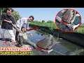 Download Lagu YA AMPUN KAKI SAPUTRA DIGIG1T IKAN LELE GIGAS RAKSASA SAMPE BEGINI??😱 | Mikael TubeHD