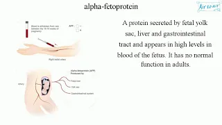 alpha fetoprotein