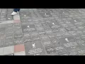 Anfield Forever Stone - Reddit