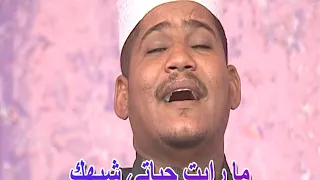 مجموعة الصحوة ليالي السادة 