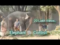 Download Lagu Elephant controlled by a single man - Angry #elephant | SANKAR JI #elephant #elephantattack #covai