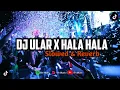 Download Lagu DJ ULAR X HALA HALA VIRAL TIKTOK (Speed up \u0026 Reverb)