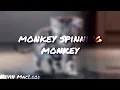Download Lagu Kevin MacLeod - Monkey Spinning Monkey
