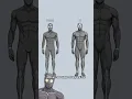 What s Your Physique Level