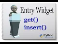 Python Tkinter Entry Widget method get and insert english