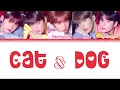 Lagu TXT (투모로우바이투게더) - 'CAT \u0026 DOG' (Color Coded Lyrics Eng/Rom/Han/가사)(CORRECTED IN COMMENTS)