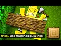 Lagu Trolling My Friend with REALISTIC Minecraft..