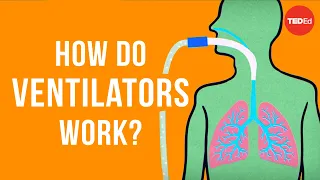 how do ventilators work alex gendler