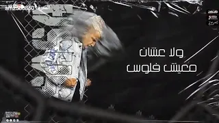 انا سالك في عالم مش سألك   دندنها