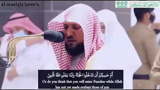 وما محمد إلا رسول قد خلت من قبله الرسل ماهر المعيقلي 