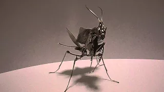                                        دندنها