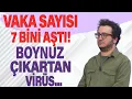 Download Lagu Vaka sayısı 7 bini aştı Boynuz çıkartıyor...