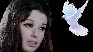 طاير يا حمام نجاة الصغيرة صوت عالي الجودة 