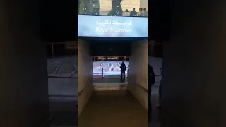 بصوا شوفوا مصر عاملة ايه                                        ترند         دندنها
