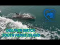 SOUTH PADRE ISLAND ISLA TOUR BOAT RIDE DOLPHIN WATCH