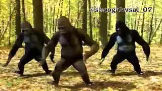 بيع العنب مجني شكله ياسعد زعلني 1 