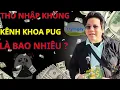 Bat ngo voi THU NHAP KHUNG cua kenh KHOA PUG Youtube giau nhat Viet Nam