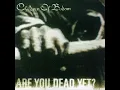 Children Of Bodom - Punch Me I Bleed