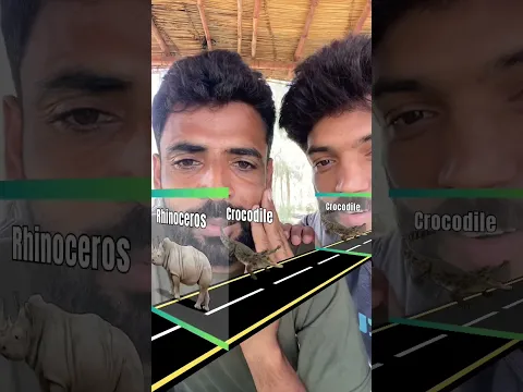 Hipopotamoooos 🤣 #funchallenge
